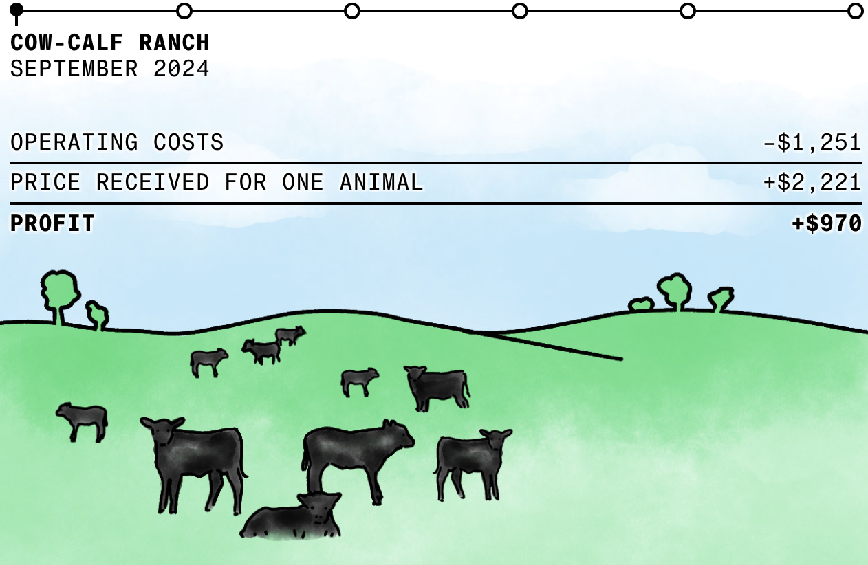 One Calf Shows Why Record Beef Prices Still Aren’t Coming Down