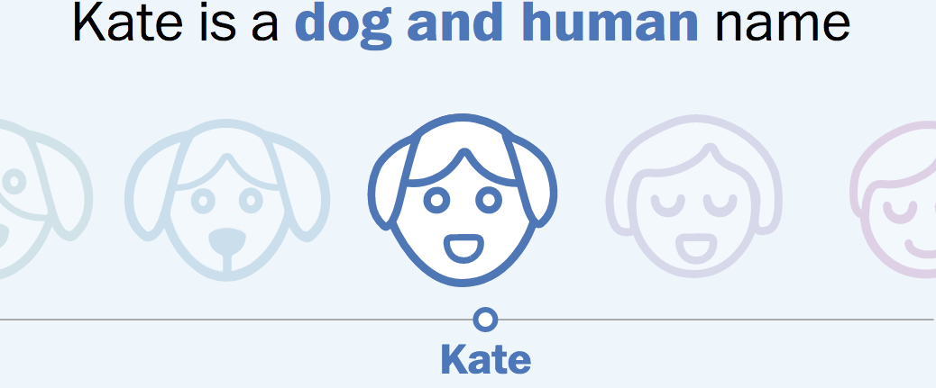 The most popular people names for dogs